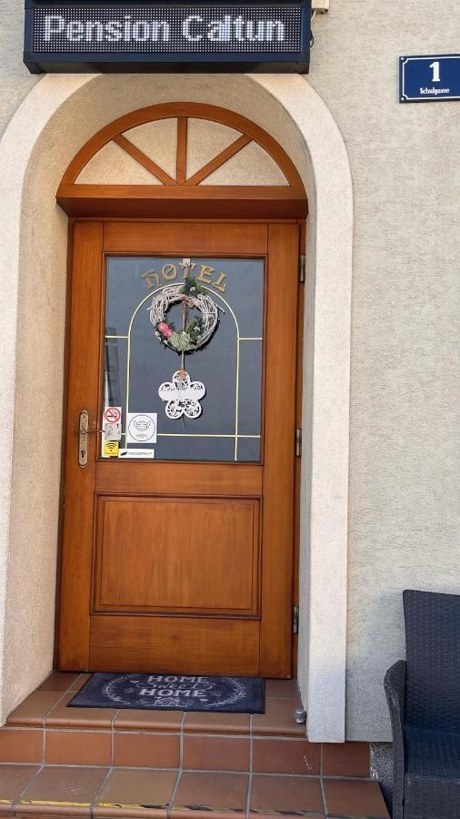 Fruehstueckspension Elena Nicoleta Caltun Fischamend Zewnętrze zdjęcie